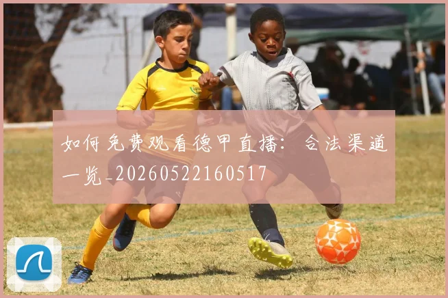 如何免费观看德甲直播：合法渠道一览_20260522160517
