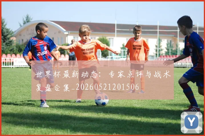 世界杯最新动态:专家点评与战术复盘合集_20260521201506