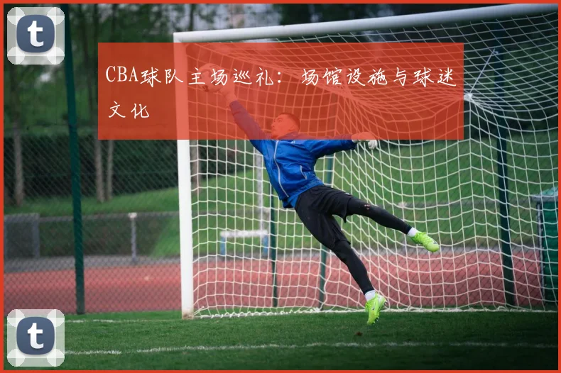 CBA球队主场巡礼：场馆设施与球迷文化