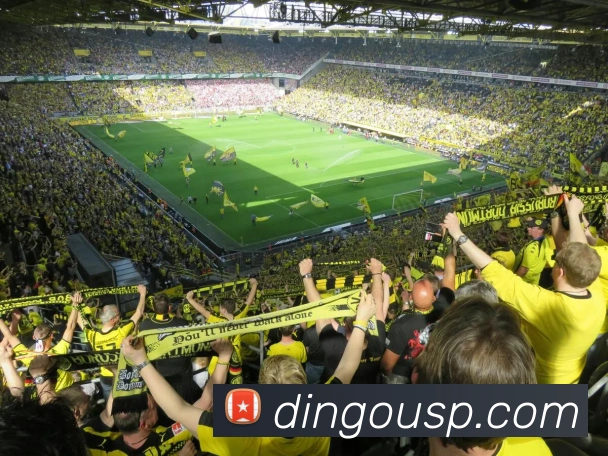 赛事专题整合